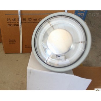 BBJ防爆聲光報(bào)警器24v/220v/90分貝