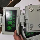byy防爆安全出口指示燈