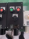 BZA8050-G-A2D1帶指示燈壁裝防爆按鈕盒