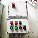 FXD-T/160A/63A/3防水防塵防腐電源檢修箱