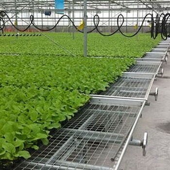 移動苗床在作物育種和育苗中的應用實踐”