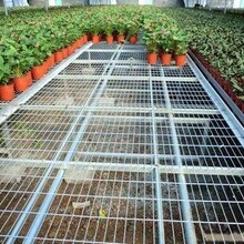 河北苗床生產(chǎn)廠家溫室苗床品牌圖片