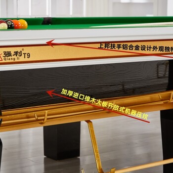 臺球桌生產(chǎn)廠家廣東江門中山臺球用品廠家
