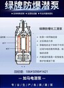 高揚程防爆屏蔽泵不銹鋼液下泵金華易燃易爆地埋罐