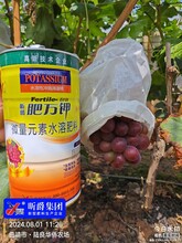 肥萬鉀沖施滴灌精（沖施肥）圖片