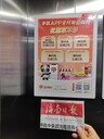 ?？陔娞輳V告什么投放效果好