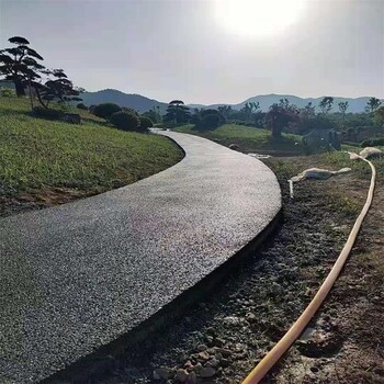 四川甘孜州彩色透水混凝土材料壓模地坪材料透水混凝土保護劑