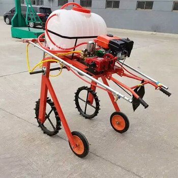 啟泰手扶打藥機(jī)小麥玉米殺蟲(chóng)噴農(nóng)藥機(jī)加長(zhǎng)噴桿多噴頭好操作