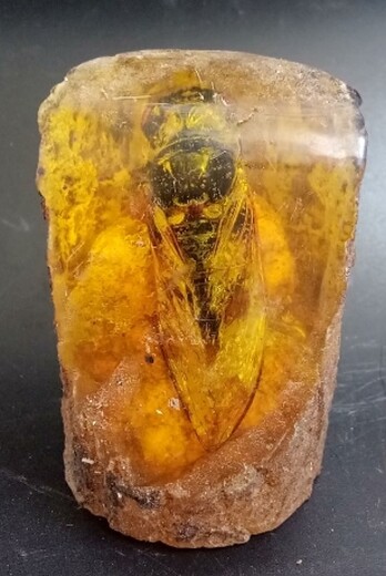 保利天然琥珀價格與快速快速交易