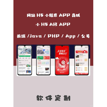 異業(yè)聯(lián)盟商機(jī)項(xiàng)目軟件開發(fā)-多版本軟件解決方案快速上線