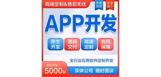 定制AI——AI智能回复搭建定制开发定制图片5