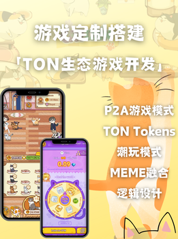 miniapp-ton生態搭建-系統搭建-多少錢
