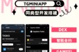 telegramminiapp-成熟案例-系统部署-开发搭建