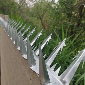 304不銹鋼防盜刺釘圍墻防爬刺釘家用學(xué)校防盜刺釘