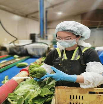 廣東河源出國勞務(wù)招養(yǎng)殖工種植工采摘工司機月入3w+