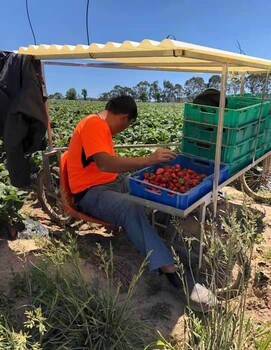 陕西宝鸡出国劳务新西兰招种植工养殖工包装工司机包吃住上五休二