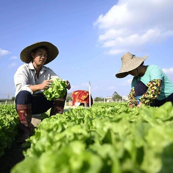 加拿大招养殖工采摘工种植工包装工年薪37万起