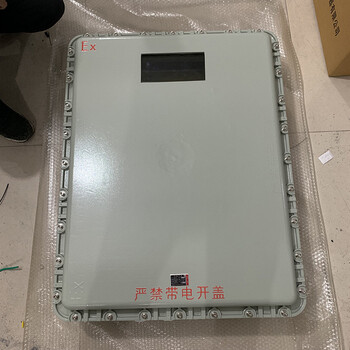 增安型防爆接線箱粉塵防爆空箱配電控制箱