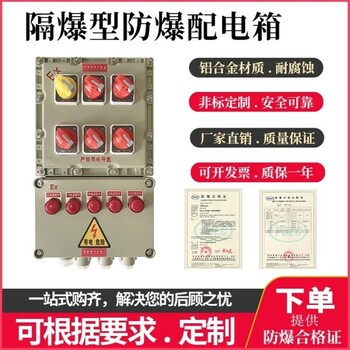 BXD-T63A380VWF1粉尘防爆检修箱防爆配电箱