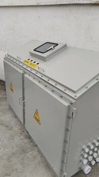 防爆（風(fēng)機(jī)）控制箱