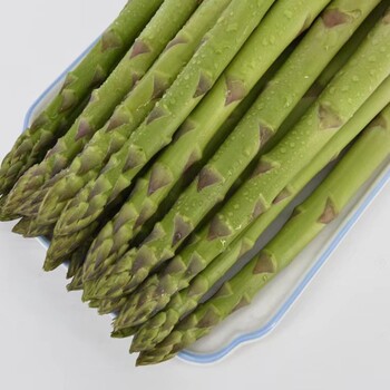 航天系列鑫航育6號移栽后管理技術(shù)
