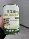 合肥批發(fā)雜交一代蘆筍種子康愛(ài)草蘆筍種苗