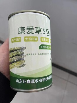 蘆筍種植康愛草蘆筍種子移栽后管理小技巧