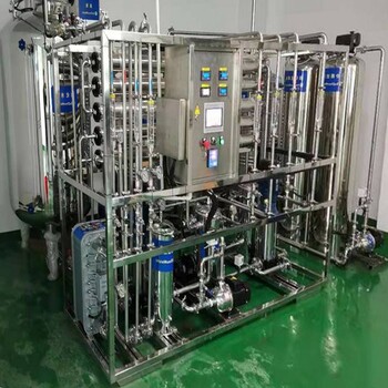 ro反滲透設備維修工業(yè)純水機保養輝月去離子水處理設備廠(chǎng)家