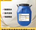 环氧改性硅氧烷高能防腐防水涂料支持定制JY15