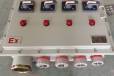 防爆电伴热控制箱PLC电源控制柜