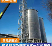 1000吨玉米小麦筒仓价格粮食稻谷储存仓设备厂家