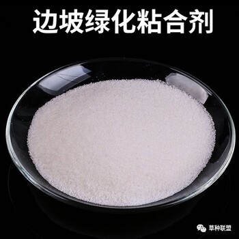 河北邯鄲防風(fēng)固沙生態(tài)治理技術(shù)土壤粘合劑
