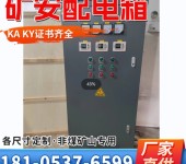 带KAKY矿安证书不锈钢矿用一般型低压配电箱PKD-380/160A