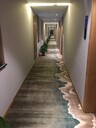 上海走廊過(guò)道滿鋪地毯定制工廠酒店賓館辦公來(lái)圖可制作免費(fèi)供樣