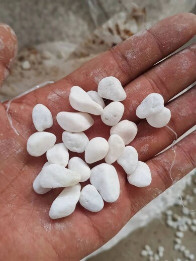 泉州鯉城區(qū)白色沙子純白雪花白砂有限公司