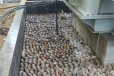 兴安盟乌兰浩特市变压器鹅卵石米黄色鹅卵石图片大全