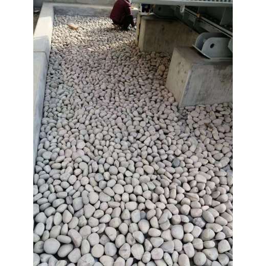 漳州诏安县5-8厘米变压器鹅卵石米黄色鹅卵石生产基地