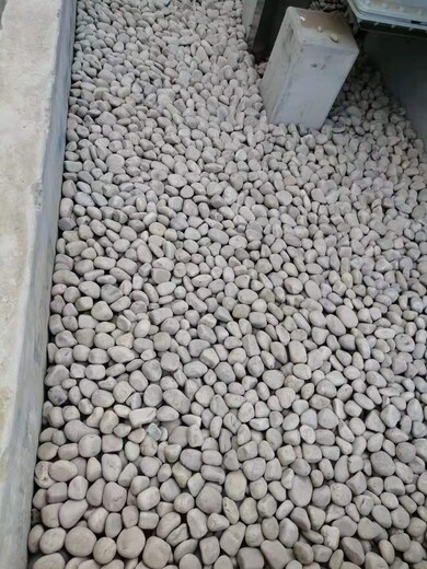 石家莊新華區(qū)5-8厘米變壓器鵝卵石米黃色鵝卵石廠家批發(fā)供應(yīng)