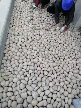 克拉瑪依白堿灘區變壓器鵝卵石價(jià)格