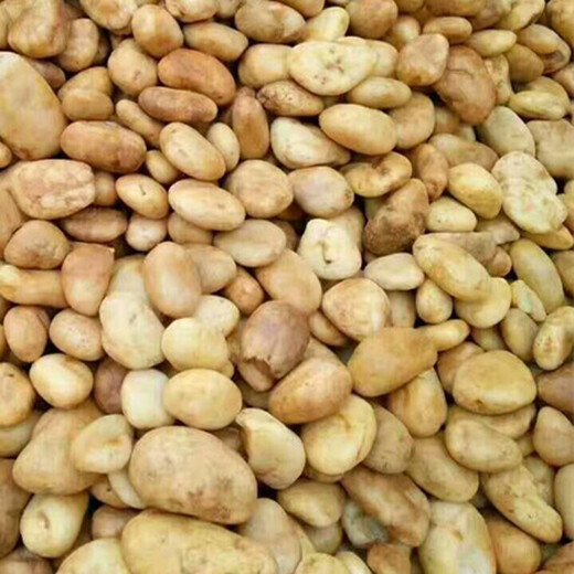 葫蘆島南票區(qū)變壓器鵝卵石米黃色鵝卵石生產(chǎn)基地