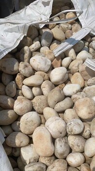 淮安清浦區(qū)220kv米黃色鵝卵石一噸價格