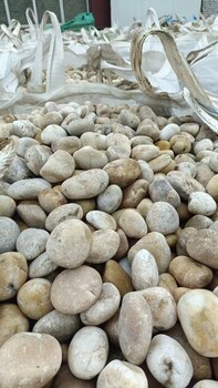 宜春臨川區(qū)變壓器鵝卵石米黃色鵝卵石有限公司