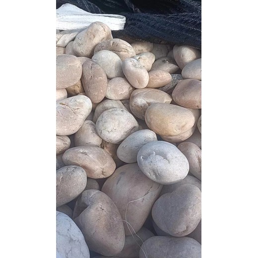 成都錦江區(qū)高鐵沿線變電所鵝卵石米黃色鵝卵石一噸價(jià)格