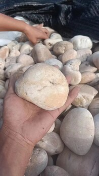 聊城東昌府區(qū)配電站鵝卵石米黃色鵝卵石用途