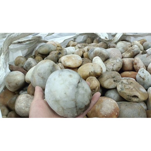 汕尾海豐縣高鐵沿線變電所鵝卵石米黃色鵝卵石一噸價(jià)格
