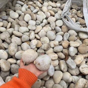 鷹潭珠山區(qū)5-8厘米變壓器鵝卵石米黃色鵝卵石廠家批發(fā)供應(yīng)