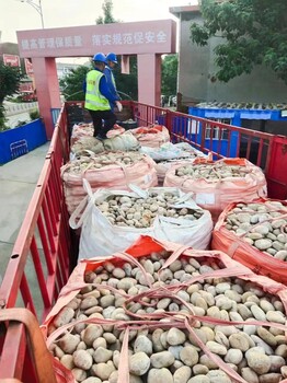 鷹潭珠山區(qū)5-8厘米變壓器鵝卵石米黃色鵝卵石廠家批發(fā)供應(yīng)
