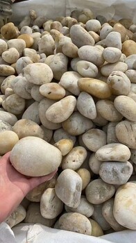 郴州蘇仙區(qū)水處理鵝卵石米黃色鵝卵石報價