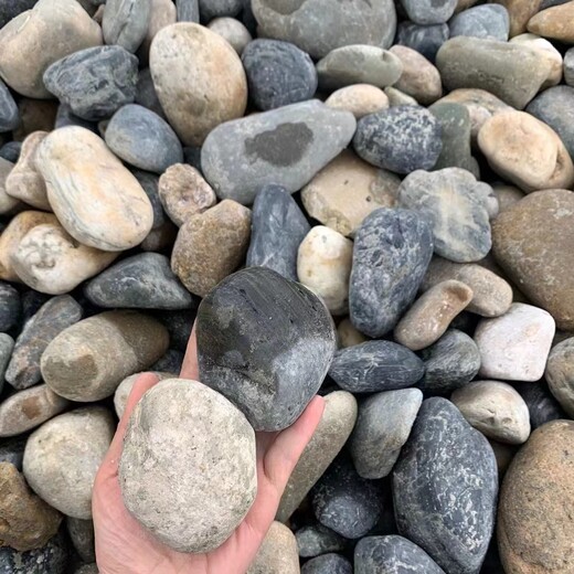 開封開封縣5-8厘米變壓器鵝卵石米黃色鵝卵石用途