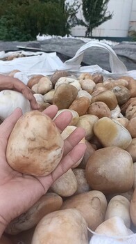 韶關曲江區(qū)高鐵沿線變電所鵝卵石米黃色鵝卵石生產廠家